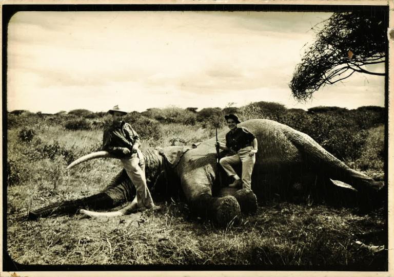 A young couple, Robert Grimm and Virginia Kraft, pose with their guns next to a fallen African elephant.