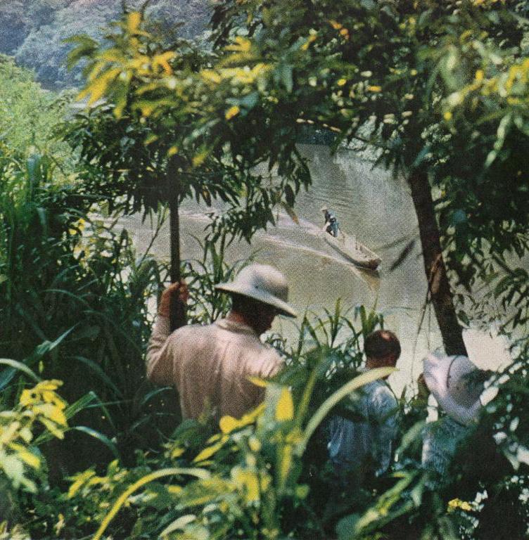 Guide Flloyd Cranfill, Robert Grimm, and Virginia Kraft look through dense rainforest to the Coatzacoalcos River.