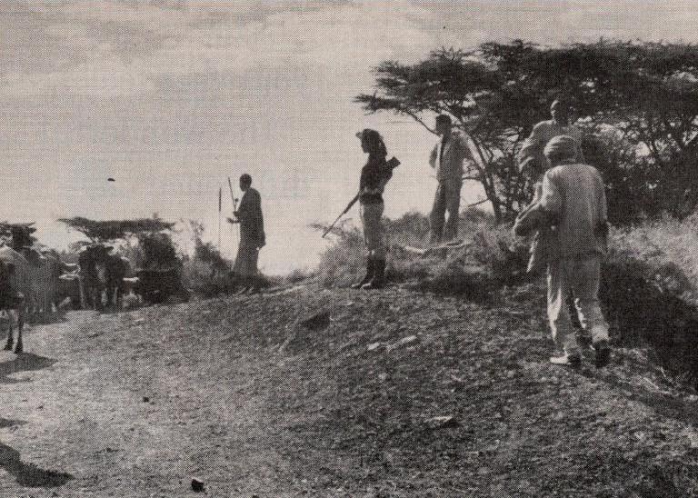 Virginia Kraft and her team cross paths with a local Maasai farmer leading his cattle to pasture. 